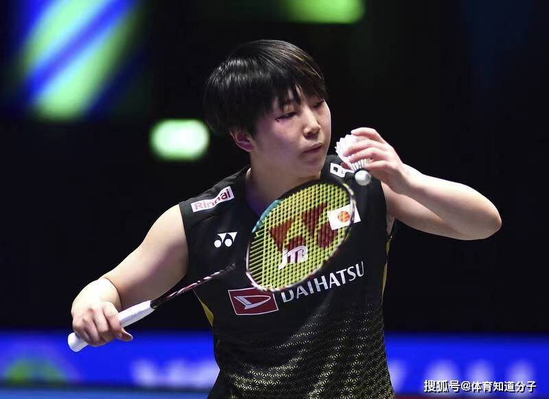 法国羽毛球队翻盘马来西亚羽毛球队，马琳惊艳世界的简单介绍