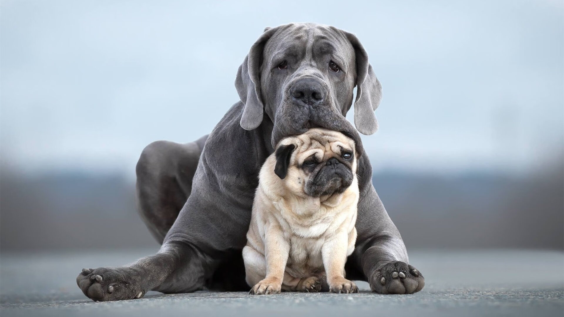 雷火电竞app-唯一渡船